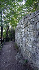 251_TZ60_P1140759_cr