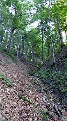 262_TZ60_P1140770_cr