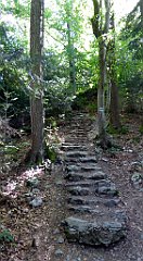 313_TZ60_P1140777_cr