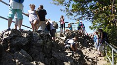 399_TZ60_P1140799_cr