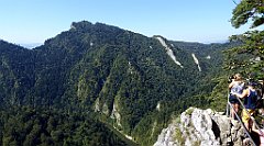 424_TZ60_P1140805_cr