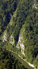 426a_TZ60_P1140811_cr