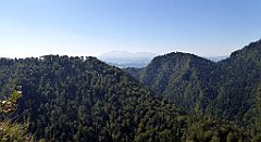 432_TZ60_P1140813_cr