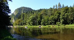 482_TZ60_P1140835_cr