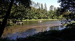 486_TZ60_P1140837_cr