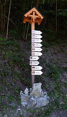 491_TZ60_P1140840_cr