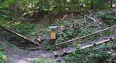 503_TZ60_P1140843_cr