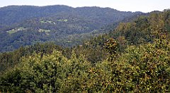 543_TZ60_P1140876_cr