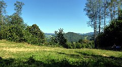 572_TZ60_P1140895_cr