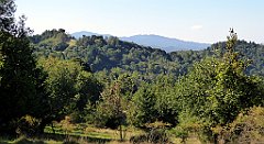 625_TZ60_P1140926_cr