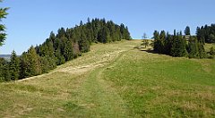 720_TZ60_P1140989_cr