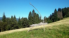 728_A806_IMG_20160828_162930_cr