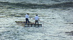 899_TZ60_P1150032_cr