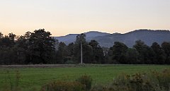 928_TZ60_P1150059_cr