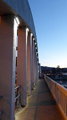 946_TZ60_P1150075_cr