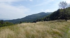 175_TZ60_P1150173_cr