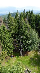 211_TZ60_P1150208_cr