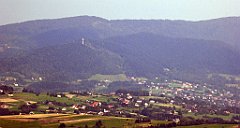 260_TZ60_P1150231_cr