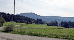 297_TZ60_P1150234_cr