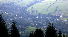 320_TZ60_P1150240_cr