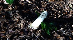 348_TZ60_P1150258_cr