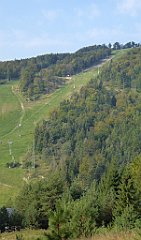 0017_TZ60_P1150297_cr