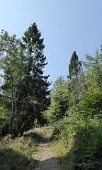 0085_TZ60_P1150346_cr