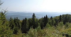 0096_TZ60_P1150353_cr