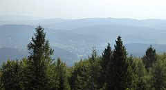 0097_TZ60_P1150354_cr