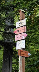 0202_TZ60_P1150430_cr