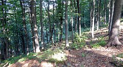 0205_TZ60_P1150433_cr