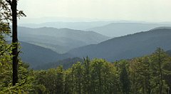 0213_TZ60_P1150437_cr