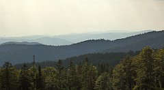 0214_TZ60_P1150439_cr