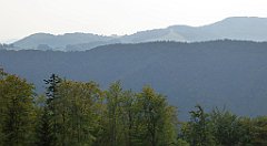 0218_TZ60_P1150444_cr