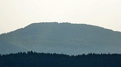 0225_TZ60_P1150453_cr