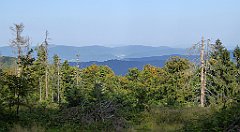 0234_TZ60_P1150455_cr