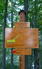 0276_TZ60_P1150482_cr