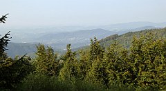 0332_TZ60_P1150532_cr