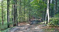 0338_TZ60_P1150538_cr