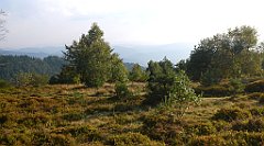 0347a_3D_P1120643_cr