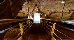 121_TZ60_P1150706_cr