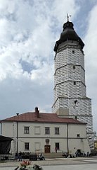 197_TZ60_P1150774_cr