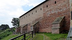 207a_TZ60_P1150780_cr