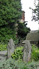 244_TZ60_P1150790_cr