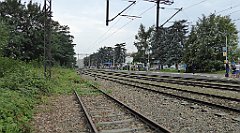 330_TZ60_P1150814_cr