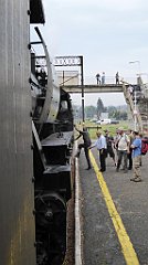 343_TZ60_P1150818_cr