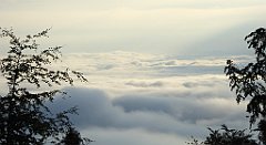 046a_TZ60_P1150872_cr