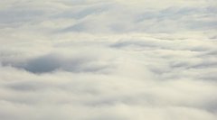 058_TZ60_P1150877_cr