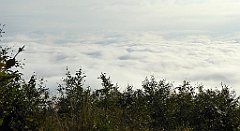 071_TZ60_P1150885_cr