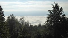 083_TZ60_P1150895_cr